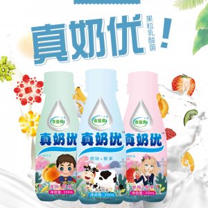 合益優(yōu)真奶優(yōu)養(yǎng)樂多活性乳酸菌飲料310mlx12瓶代加工貼牌OEM/ODM