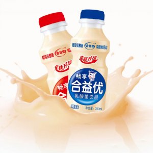 乳酸菌原味風(fēng)味酸奶飲料OEM代加工