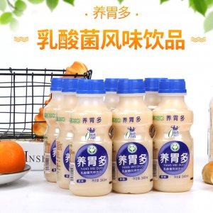養(yǎng)胃多乳酸菌340毫升x12瓶原味牛奶飲品貼牌OEM/ODM