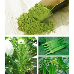 黃秋葵粉貼牌OEM/ODM