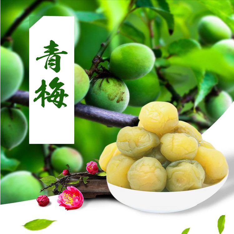 酵型素梅蜜餞貼牌定制代加工