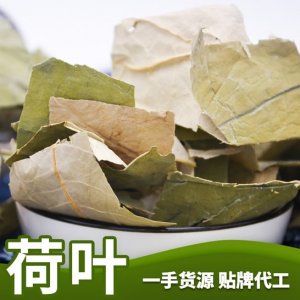 金之粟 荷葉茶貼牌OEM/ODM