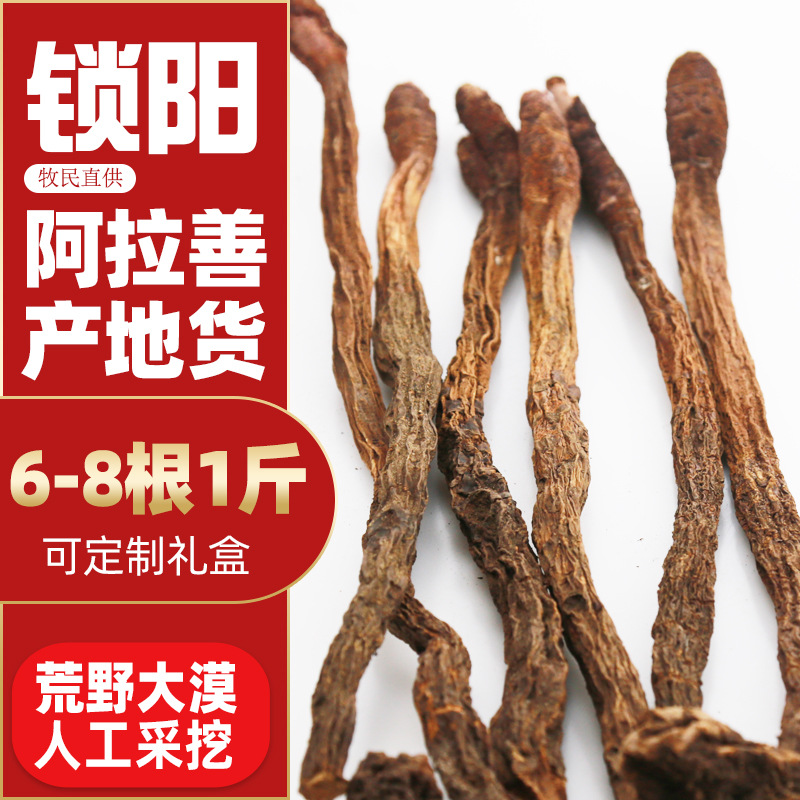 金鎖陽(yáng)OEM/ODM代加工