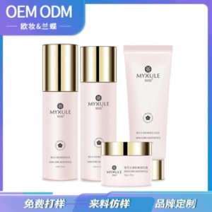 院線高端護(hù)膚套盒櫻花美肌四件套OEM/ODM代加工