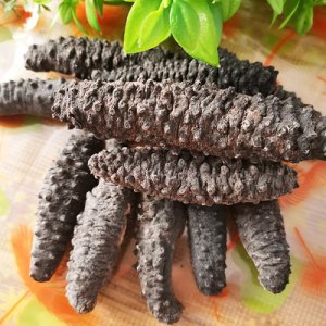 土耳其純淡干無刺海參OEM/ODM代加工