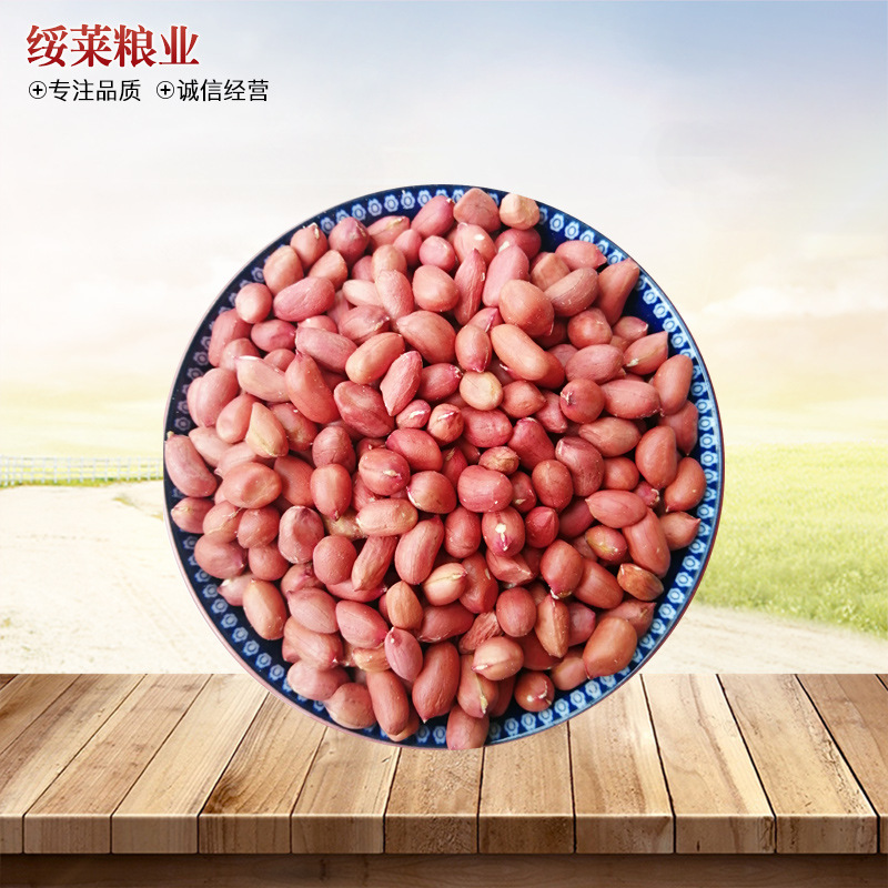 紅花生米貼牌定制代加工