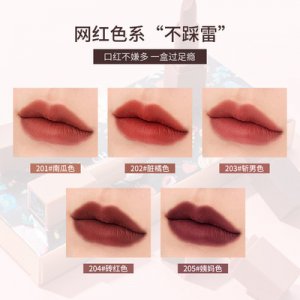 精品國貨絲絨啞光五色小樣口紅OEM代加工