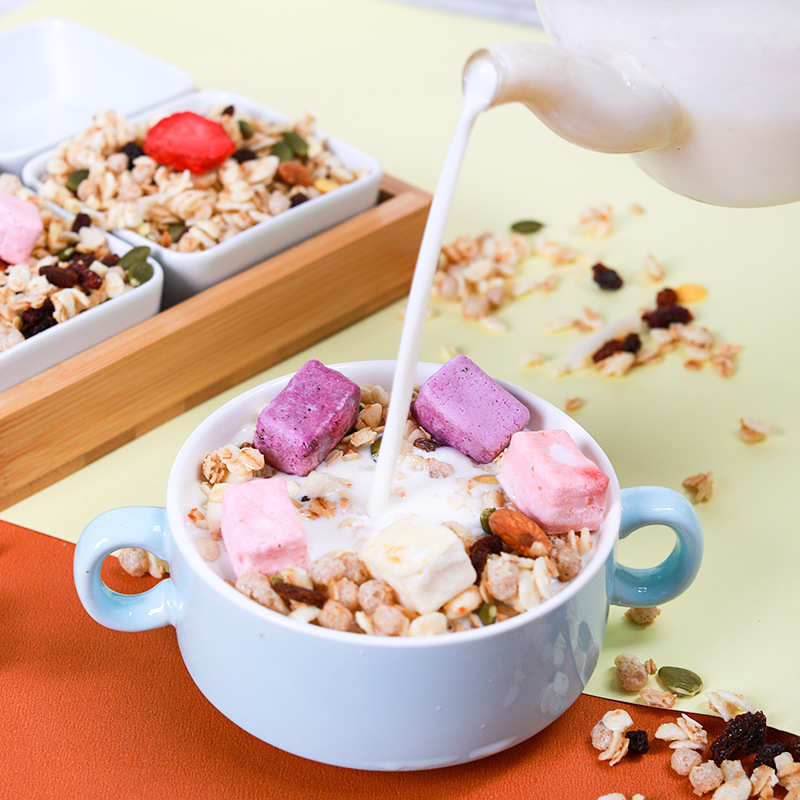 酸奶果粒燕麥片貼牌OEM/ODM
