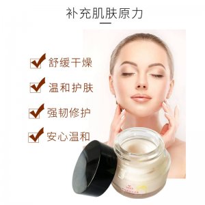 大米萃取保濕霜 OEM/ODM定制代加工