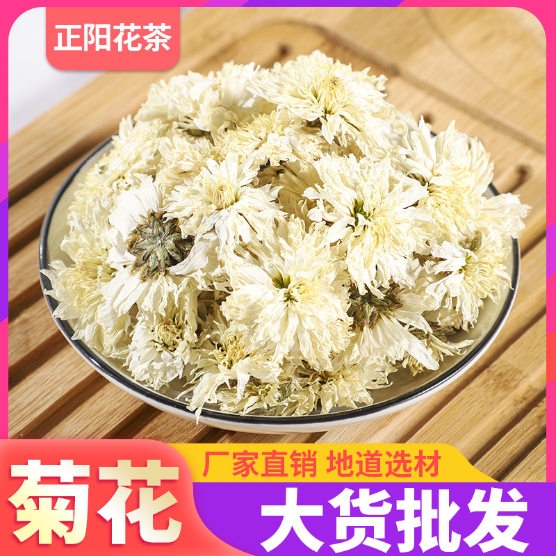 散裝貢菊沖泡菊花茶OEM代加工