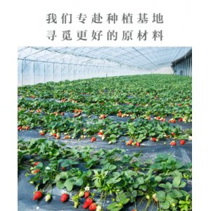 雪花酥牛軋?zhí)呛姹涸腺N牌定制代加工