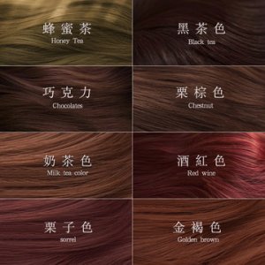 彩色12色自然時尚自己染代加工貼牌OEM/ODM