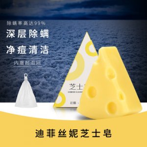 迪菲絲妮海鹽芝士皂OEM/ODM代加工