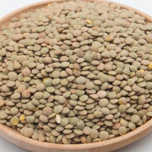 西域之戀扁豆OEM/ODM