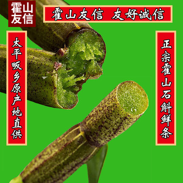 霍山鐵皮石斛鮮條可OEM/ODM代工