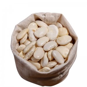 廣東華懋食品科技發(fā)展有限公司