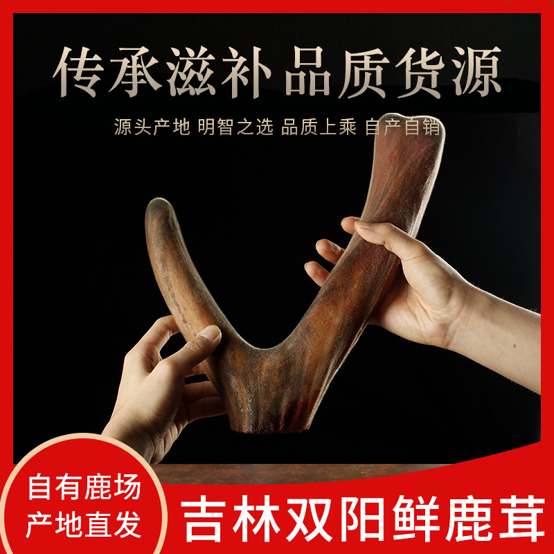 鹿鄉(xiāng)新鮮整支鮮鹿茸貼牌定制代加工