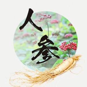 人參粉人參固體飲料貼牌OEM/ODM