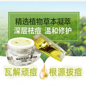 虹美淡化痘印痘坑草本凈膚祛痘膏貼牌OEM/ODM