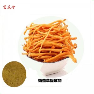 蛹蟲草提取物可OEM/ODM代工