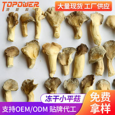凍干小平菇菌類OEM代加工