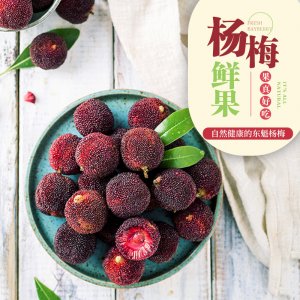 蘭溪楊梅凍OEM/ODM定制代加工