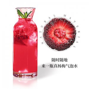 享果多真楊梅氣泡歡樂水楊梅果OEM/ODM