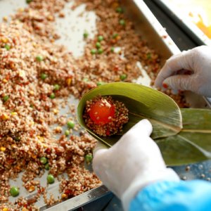 端午節(jié)蛋黃鮮肉粽OEM代加工