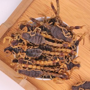 全蝎干代加工貼牌OEM/ODM