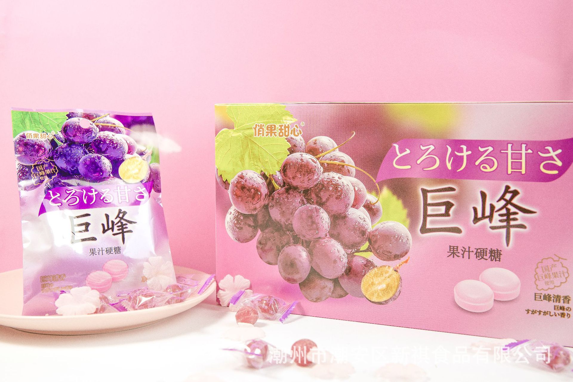 潮州市潮安區(qū)新祺食品有限公司