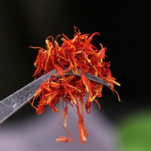 干紅花500g可OEM/ODM代工