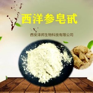 西洋參皂甙 80% 西洋參提取物可OEM/ODM代工