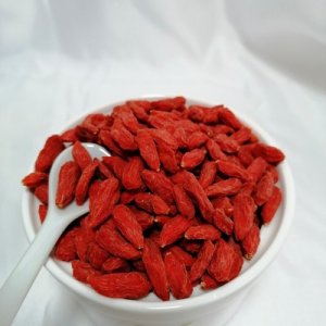 寧夏茍杞罐裝大粒OEM/ODM代加工