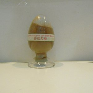 有機(jī)水溶性香菇貼牌OEM/ODM