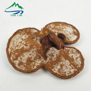 吉林省源嶺參茸有限公司萬良分公司