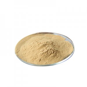 雞腿菇子實(shí)體提取物OEM/ODM代加工