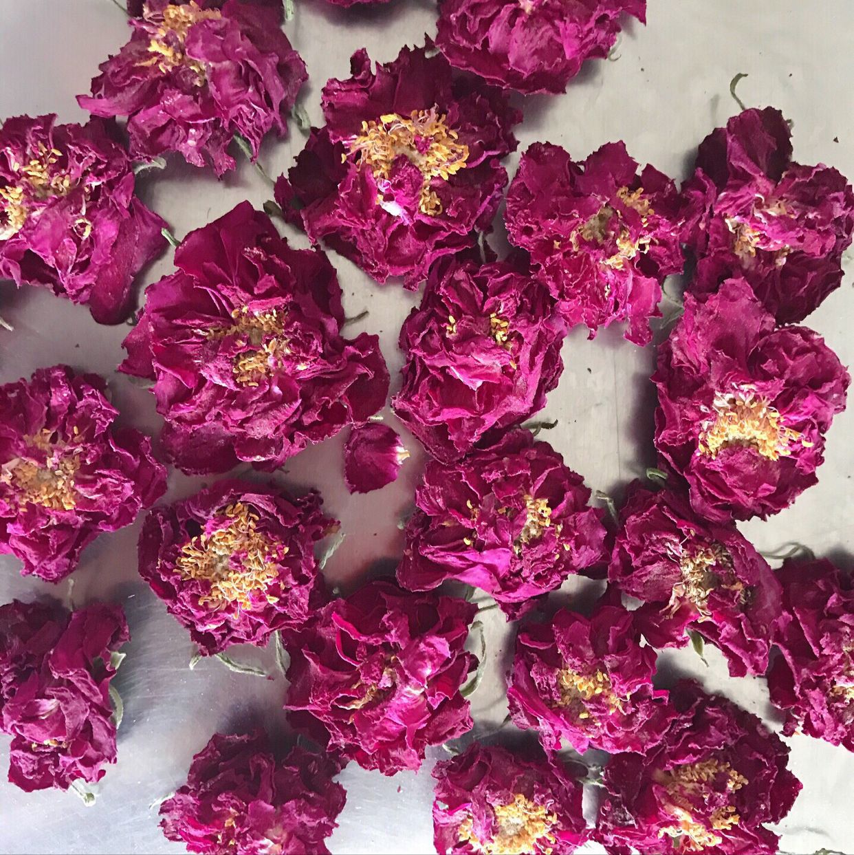 玫瑰花貼牌OEM/ODM