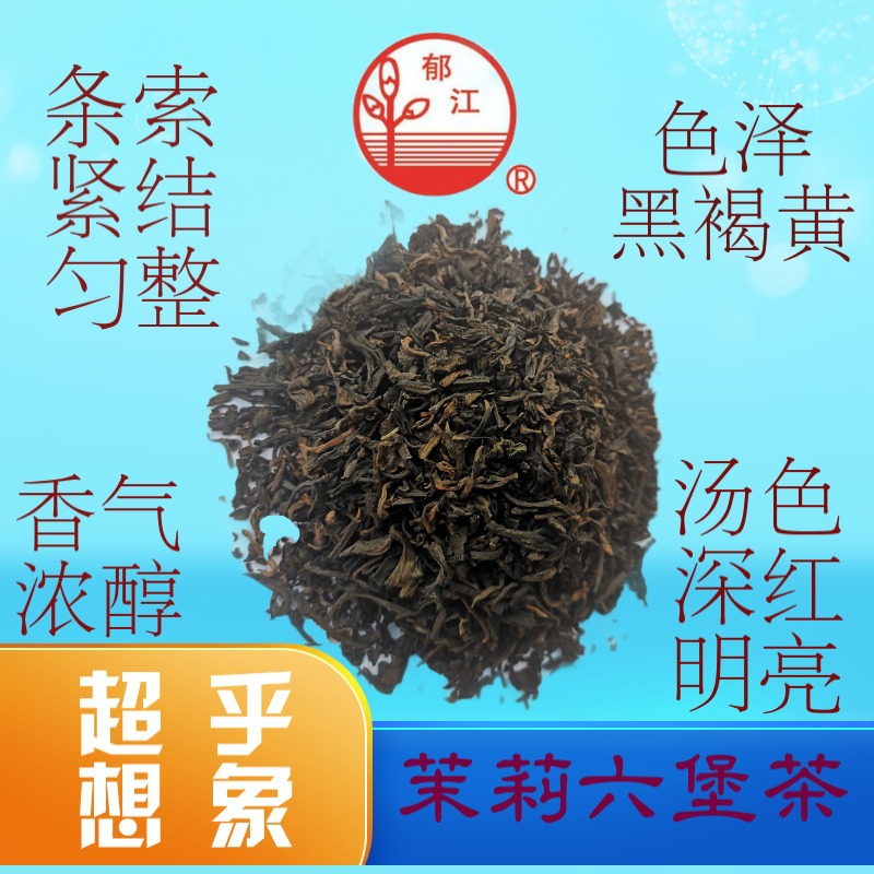 茉莉花茶廣西橫縣郁江茉莉六堡茶貼牌定制代加工