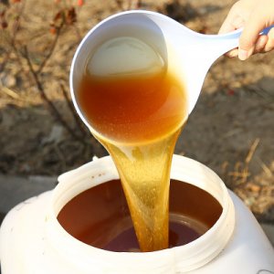 蜂蜜批發(fā)吃的棗花蜜百花蜜洋槐蜜土蜂蜜灌裝原蜜OEM/ODM定制代加工
