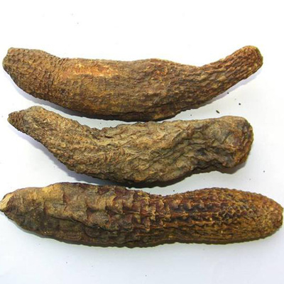 批發(fā)零售 新疆特產(chǎn)管花肉蓯蓉硬大蕓切片泡酒泡茶中藥材沙漠人參OEM/ODM代加工