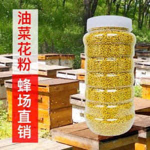 蜂場蜂花粉吃的食用瓶裝代加工貼牌OEM/ODM