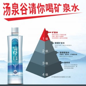 定制水礦泉水530ml貼牌OEM/ODM