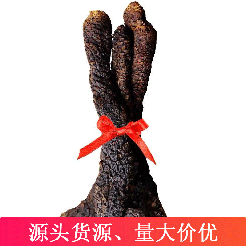 油蓯蓉整根泡酒料肉蓯蓉油蓯蓉鮮切片干貨新新疆吐魯番產(chǎn)地油蓯蓉貼牌定制代加工