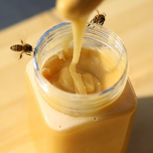 結(jié)晶蜜百花蜜土蜂蜜OEM/ODM代加工