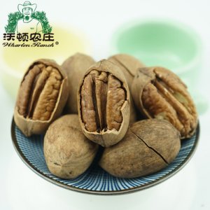 新貨碧根果生美國(guó)山核桃長(zhǎng)壽果老人孕婦小孩零食堅(jiān)果炒貨干果原味貼牌OEM/ODM