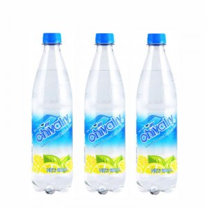 雪菲力鹽汽水600ml*24瓶/整箱發(fā)貼牌定制代加工