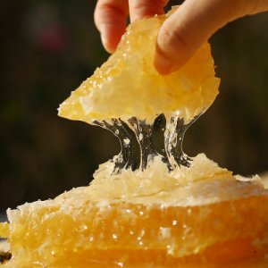 廠家貨源可以嚼著吃的蜂巢蜜可OEM/ODM代工