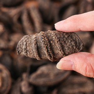 火鍋食材海參貼牌OEM/ODM