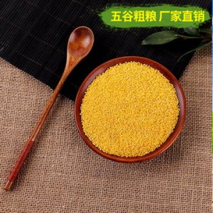 黃小米 400克 雙層真空裝 月子米 寶寶米五谷雜糧 新米OEM代加工