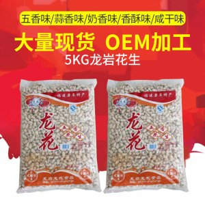 福建特產(chǎn)龍巖帶殼花生蒜香5kg 休閑零食炒貨堅(jiān)果OEM代加工